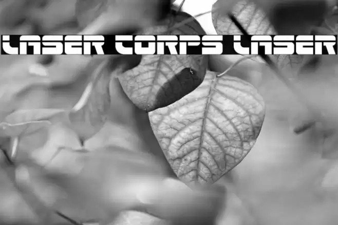 Laser Corps Laser Font examples