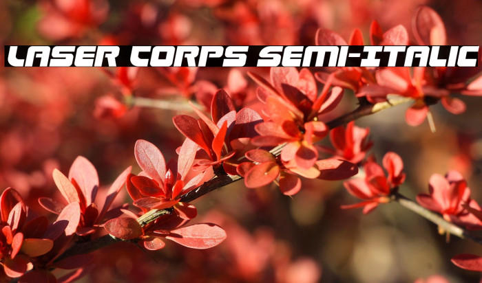 Laser Corps Semi-Italic Example 1