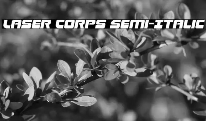 Laser Corps Semi-Italic Example 1