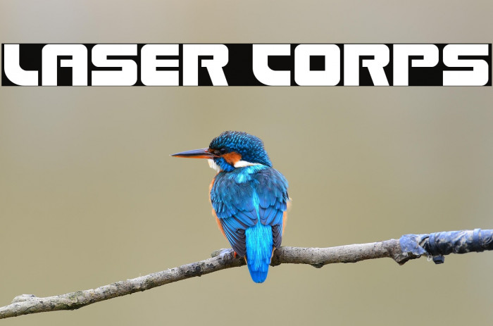 Laser Corps Example 3