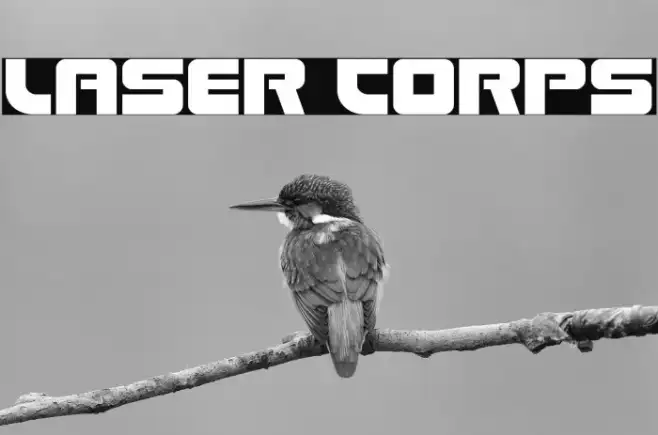 Laser Corps Example 3