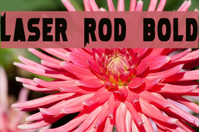 Laser Rod Bold Font examples