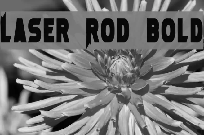 Laser Rod Bold Example 1