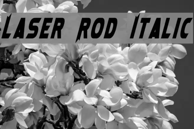 Laser Rod Italic Font examples