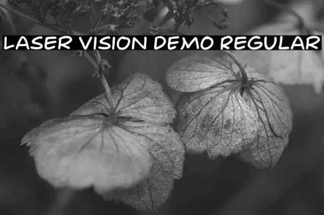 Laser Vision DEMO Regular Font examples