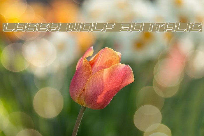 Laser Wolf 3D Italic Font examples