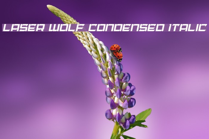Laser Wolf Condensed Italic Font examples