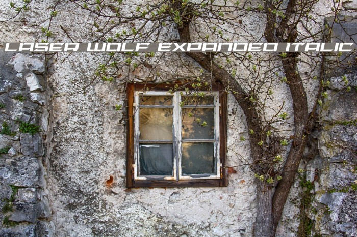 Laser Wolf Expanded Italic Font examples
