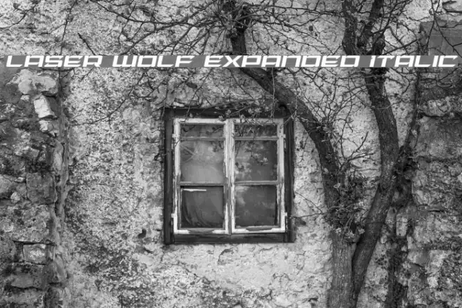 Laser Wolf Expanded Italic Example 3