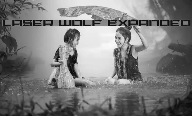 Laser Wolf Expanded Example 1