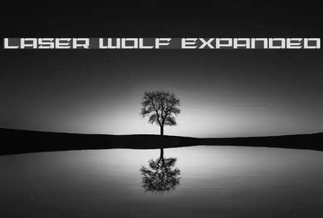 Laser Wolf Expanded Example 2
