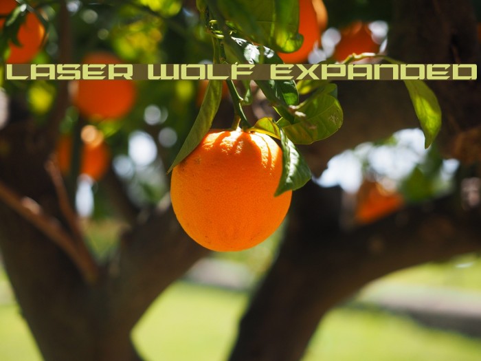 Laser Wolf Expanded Font examples