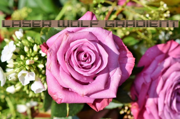 Laser Wolf Gradient Example 2