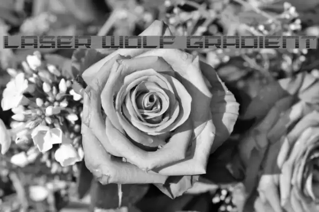 Laser Wolf Gradient Font examples