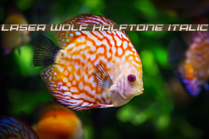 Laser Wolf Halftone Italic Font examples