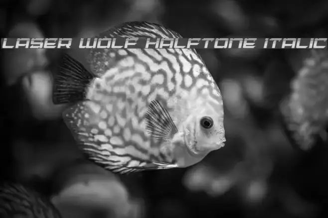 Laser Wolf Halftone Italic Example 1