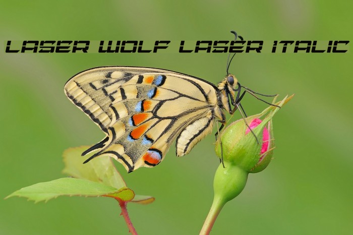 Laser Wolf Laser Italic Font examples