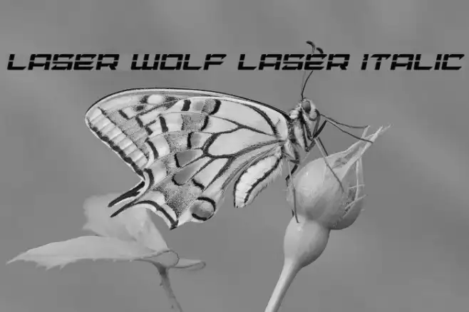 Laser Wolf Laser Italic Example 1