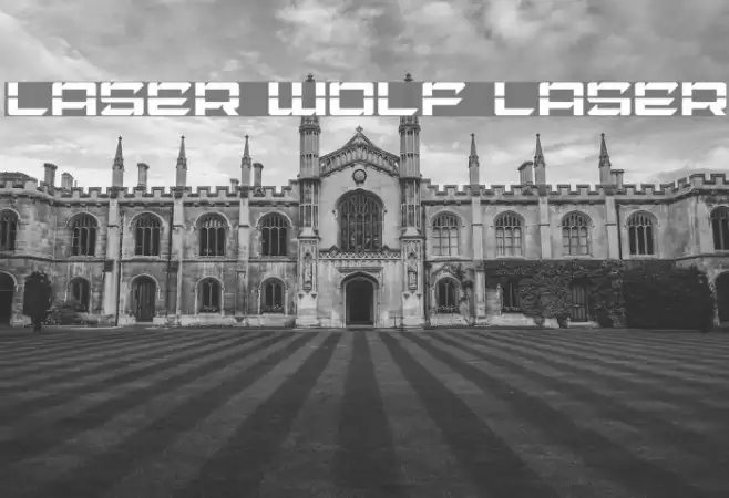 Laser Wolf Laser Example 1
