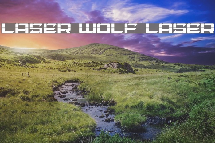 Laser Wolf Laser Font examples