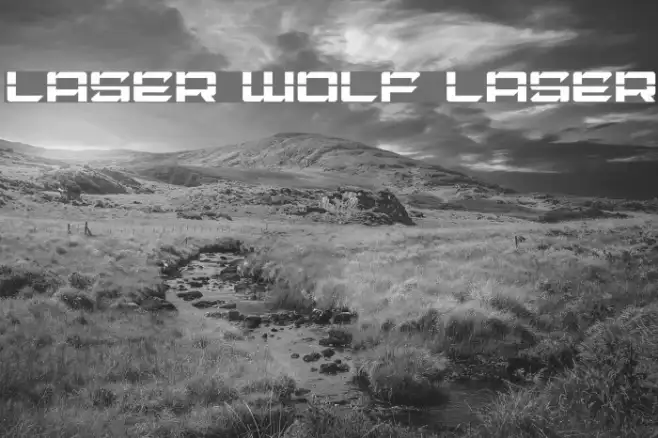 Laser Wolf Laser Example 2