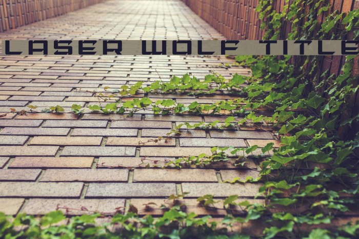Laser Wolf Title Font examples