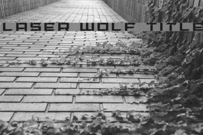 Laser Wolf Title Example 1