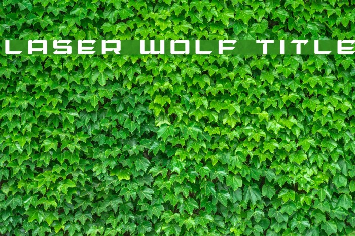 Laser Wolf Title Font examples