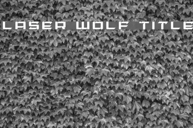 Laser Wolf Title Example 2