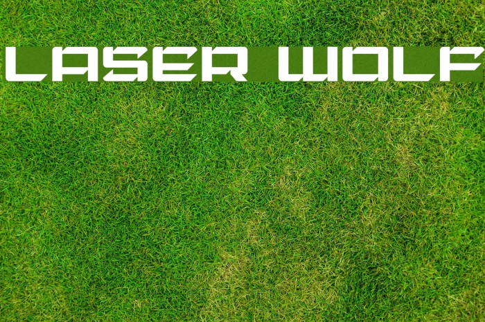 Laser Wolf Font examples