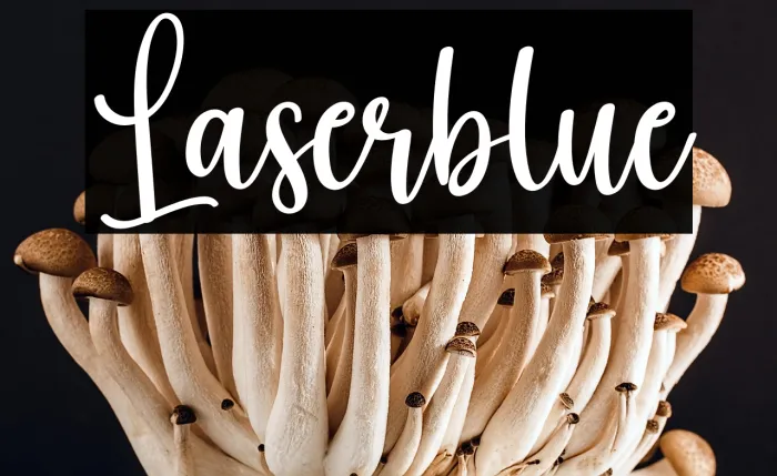 Laserblue Example 1