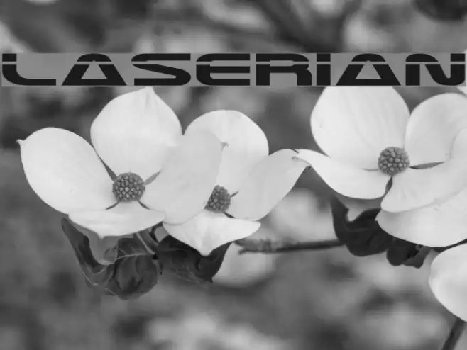 Laserian Font examples