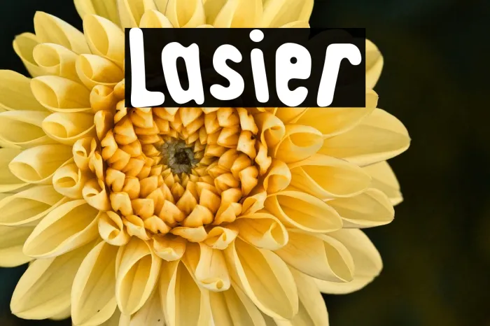 Lasier Example 2