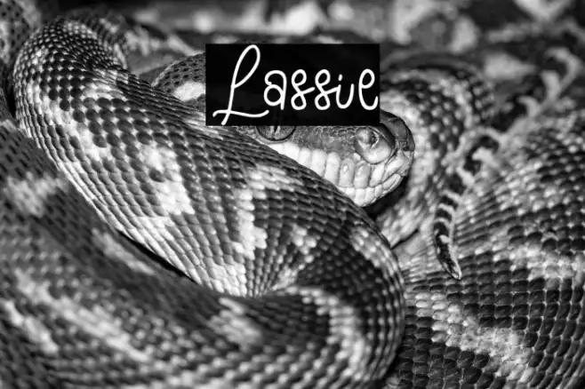 Lassie Example 3
