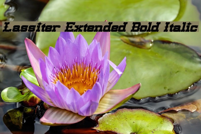 Lassiter Extended Bold Italic Font examples