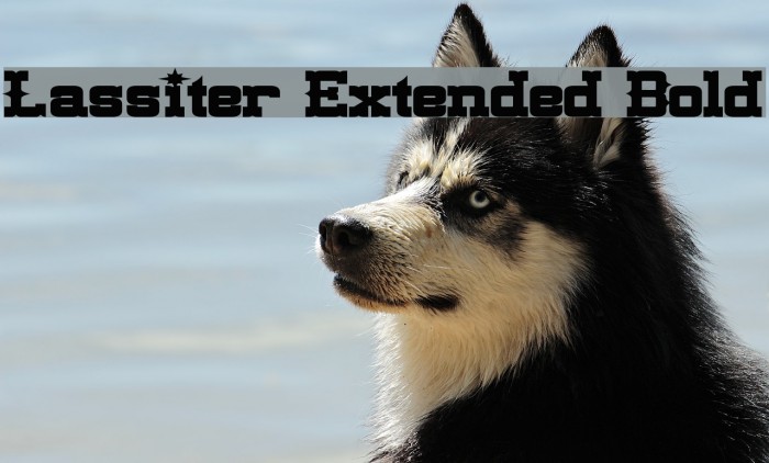 Lassiter Extended Bold Font examples