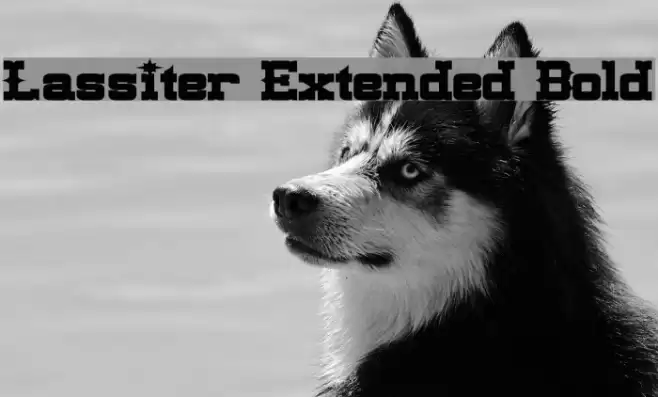 Lassiter Extended Bold Font examples