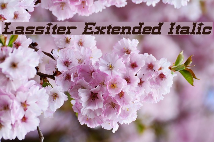 Lassiter Extended Italic Font examples