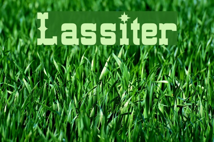 Lassiter फ़ॉन्ट examples