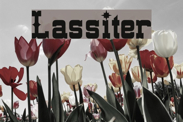 Lassiter फ़ॉन्ट examples
