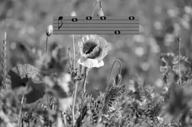 Lassus Font examples