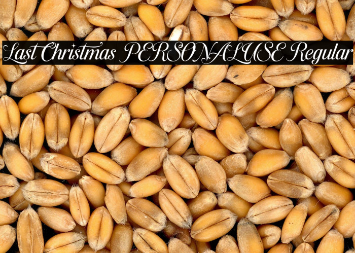 Last Christmas PERSONAL USE Regular Example 1