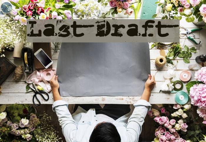 Last Draft Example 1