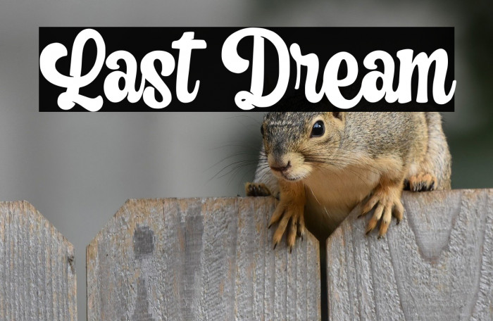 Last Dream Example 1