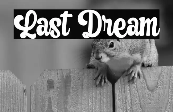 Last Dream Font examples