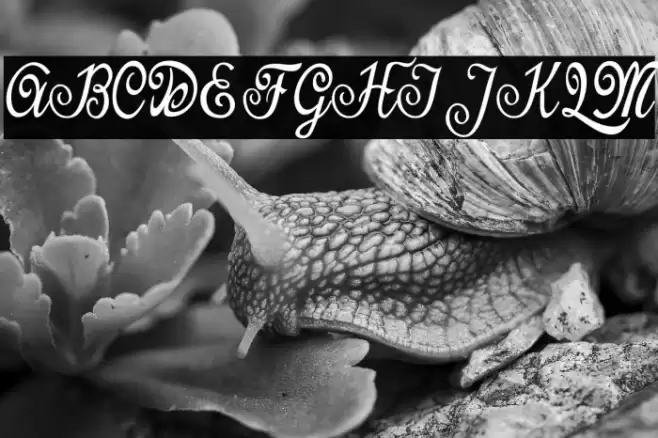 Last Frontier Personal Use Font examples