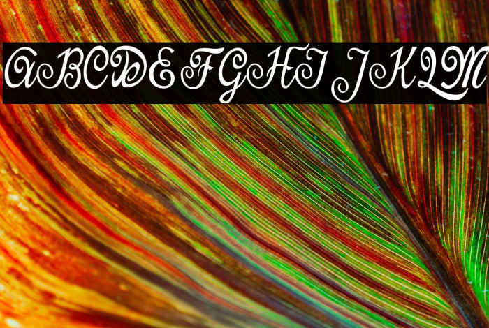 Last Frontier Personal Use  Example 3