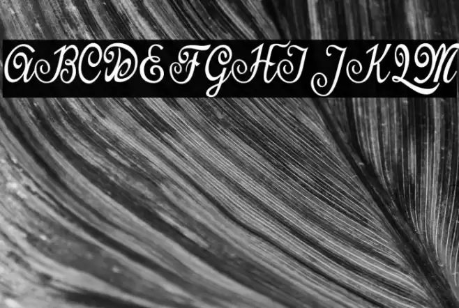 Last Frontier Personal Use Font examples