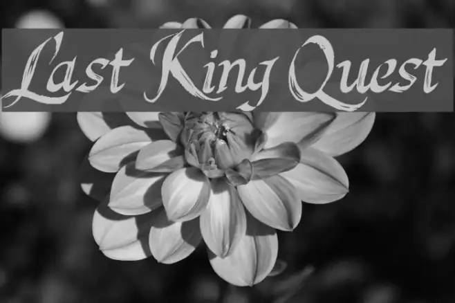 Last King Quest Example 2
