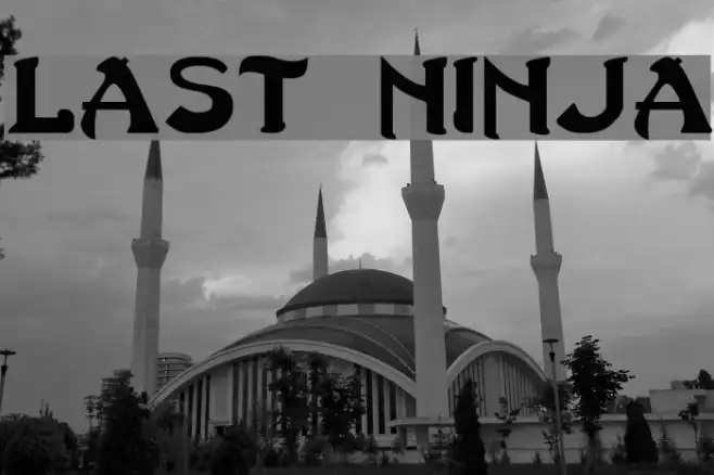 Last Ninja Example 1